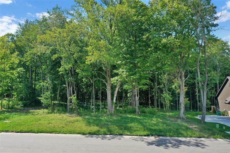21008 Chatham Ridge Blvd - Photo 1