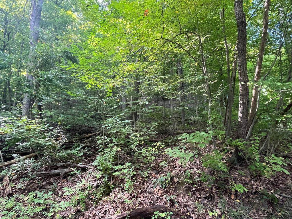 07 Somerset Drive - Photo 1