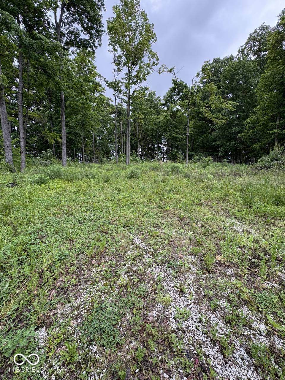 128 Blue Side Way - Photo 1