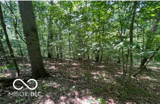 0 Cherry Court - Photo 1