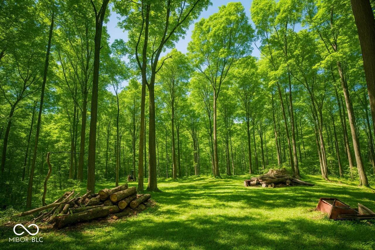 9660 A Old Haggard Road - Photo 1