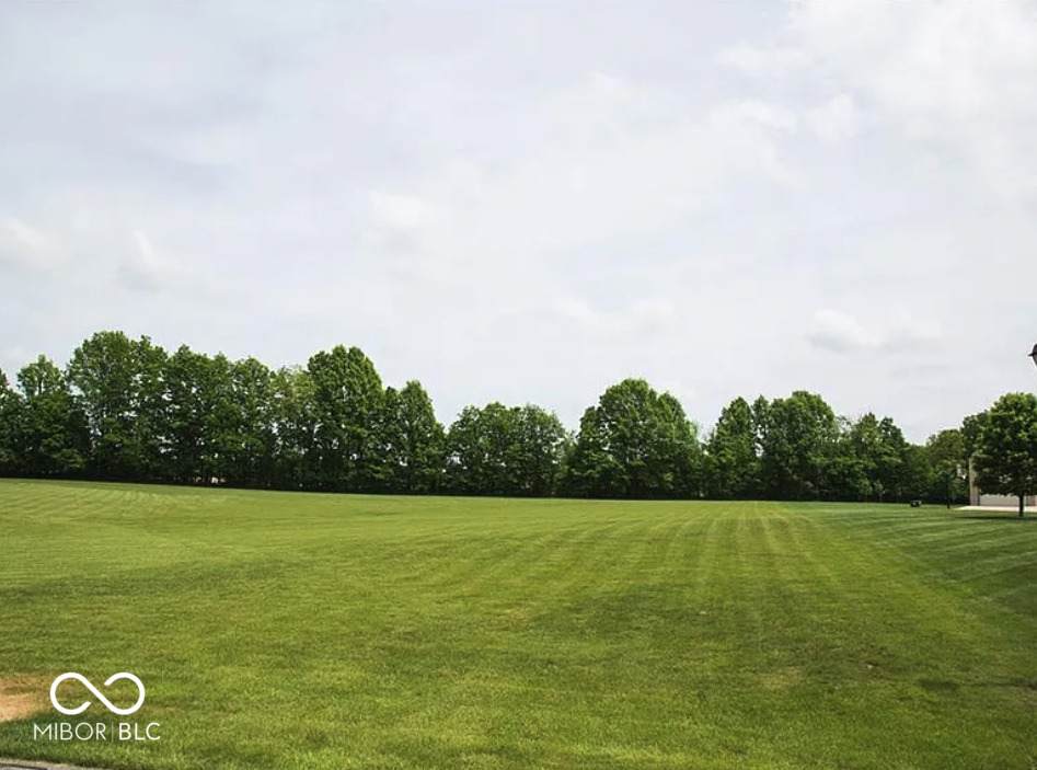 4199 Whitetail Woods Drive - Photo 1