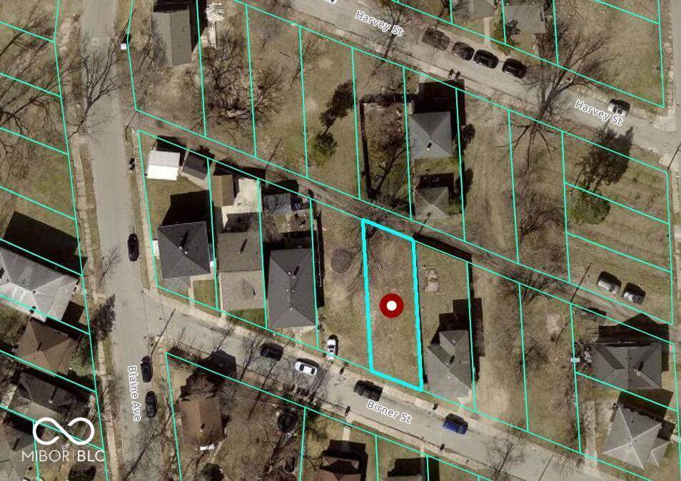 1121 Birner Street - Photo 1