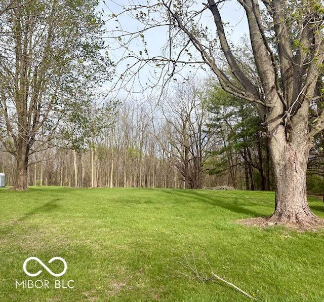 0 50 - Photo 1