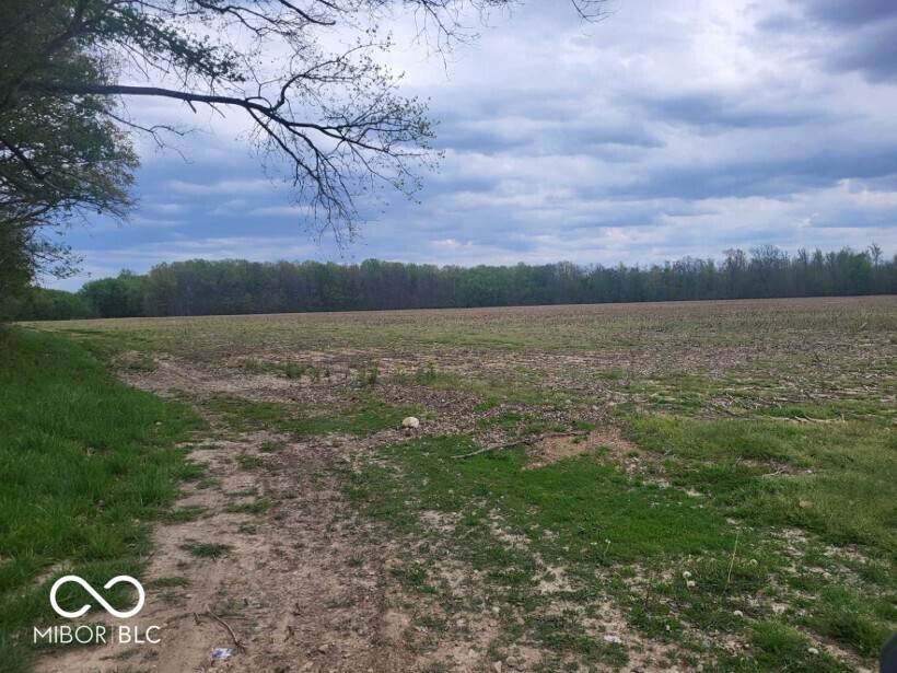 8000 Co. Rd. 300 Road - Photo 1