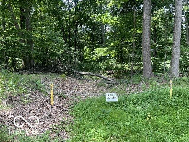 0 Lake South Drive - Photo 1