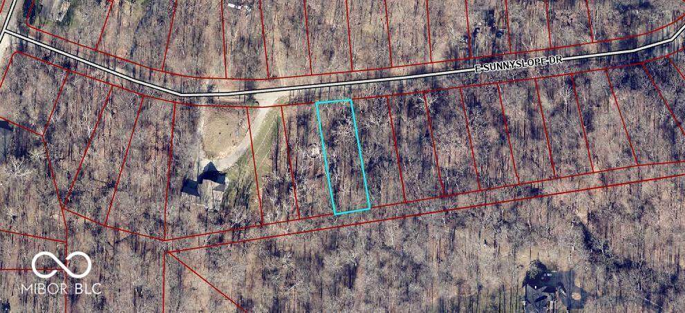 0 Sunnyslope East Drive - Photo 1