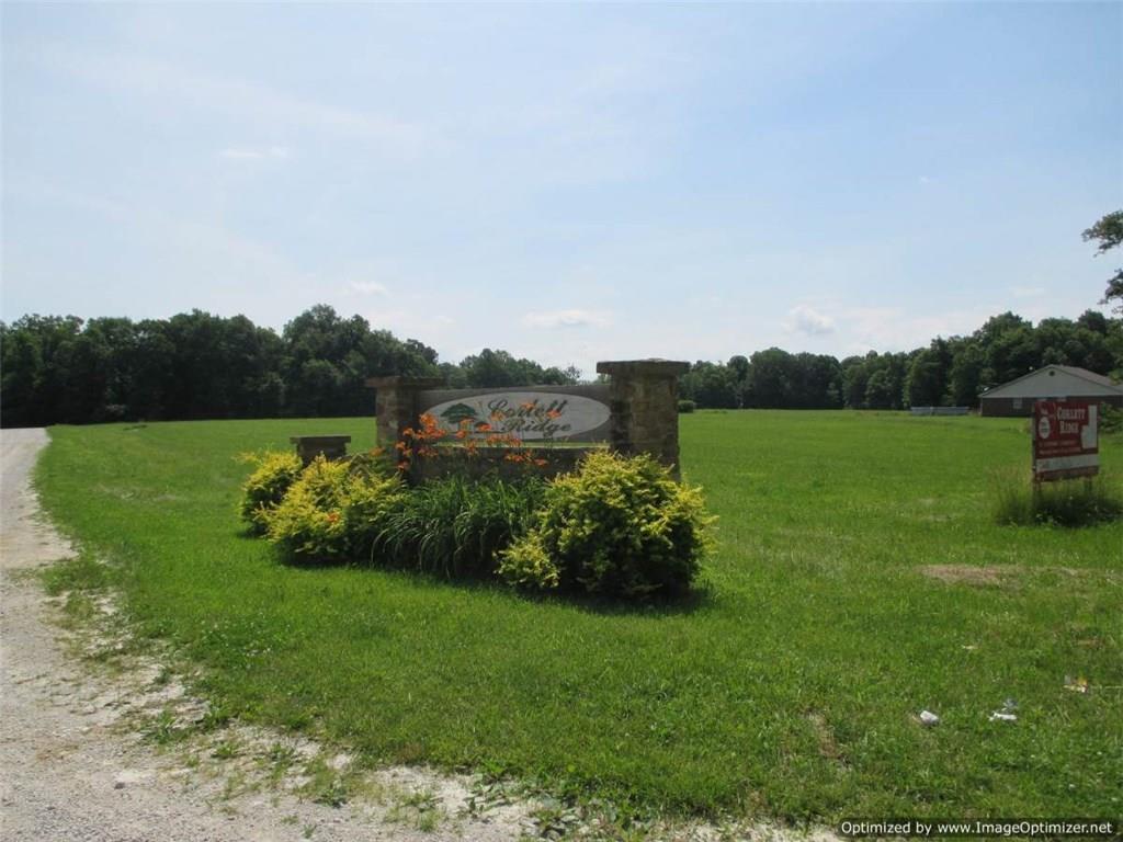 3711 O Logging Trail - Photo 1