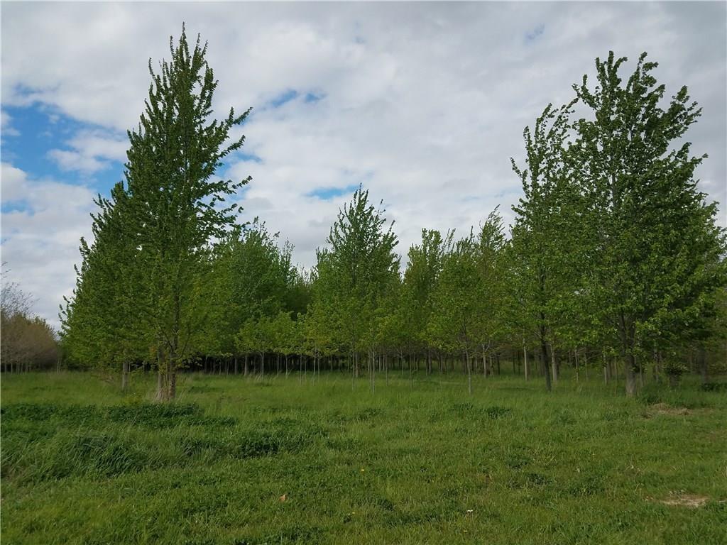 0 700 - Photo 1