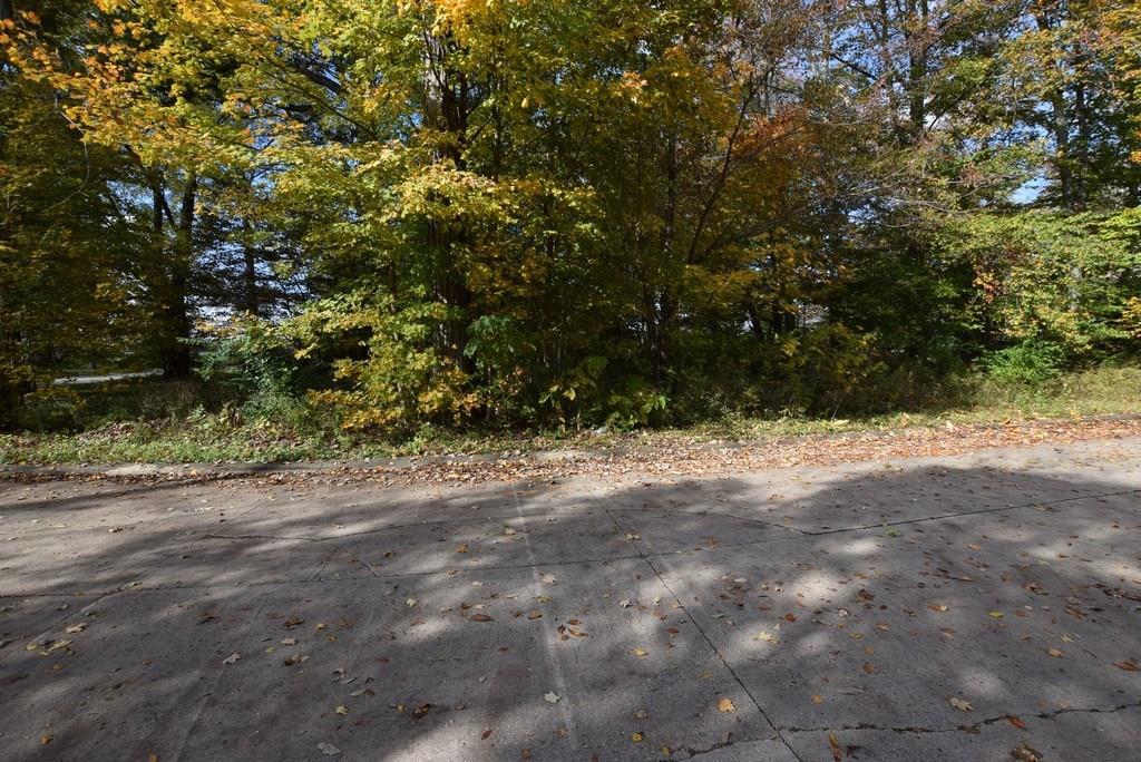 0 Mayapple Lane - Photo 1