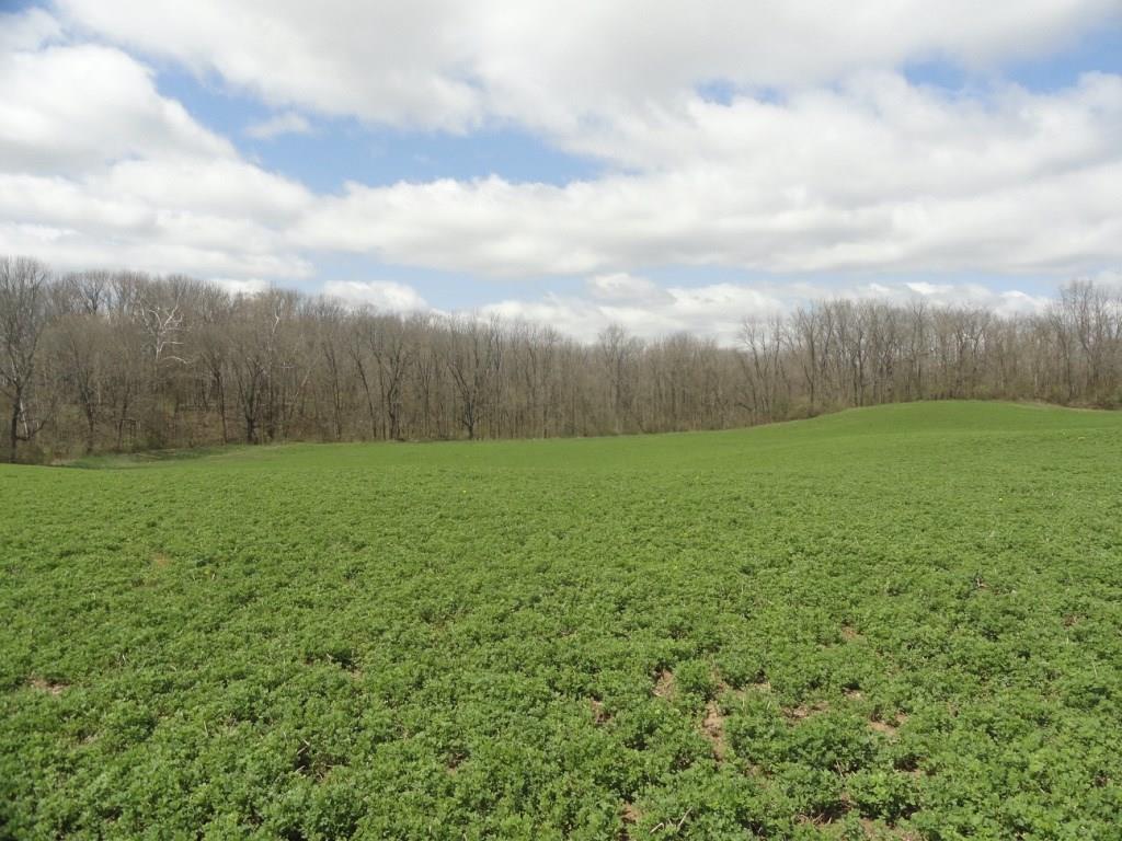 LOT 69 Gayle Drive - Photo 1