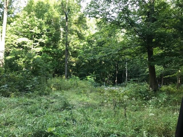 73 & 74 Apple Jack Drive - Photo 1