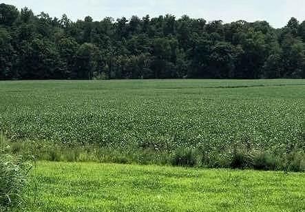 8085 County Road 750 - Photo 1