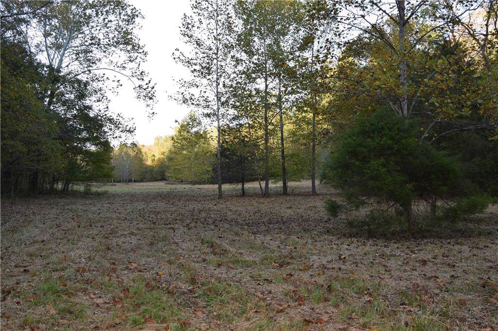 n/a Stipp Road - Photo 1