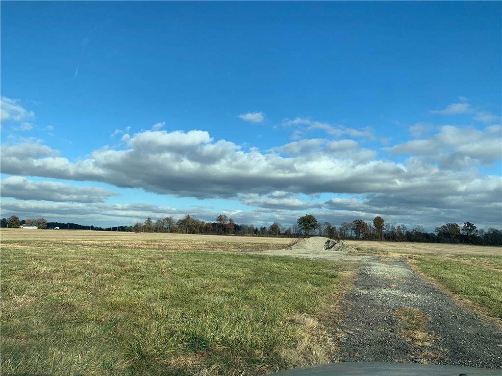 25325 Lamong Road - Photo 1