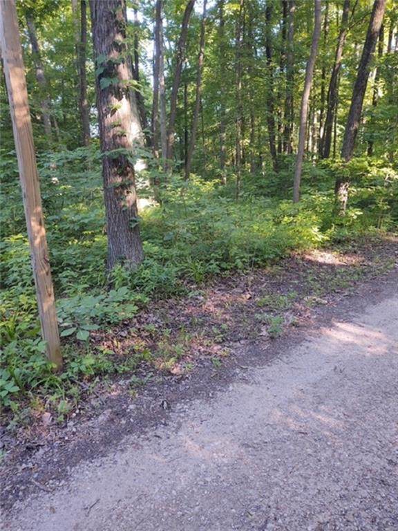 LOTS 1,2,3 Hickory Ridge - Photo 1