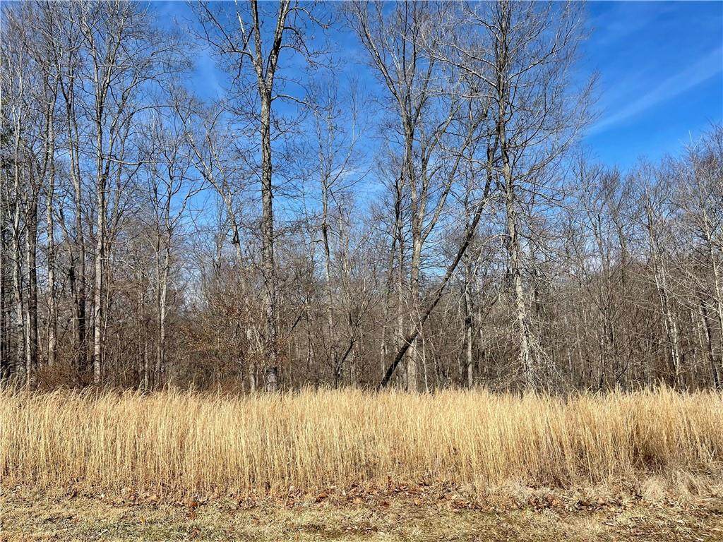 170 Pine Valley Court - Photo 1
