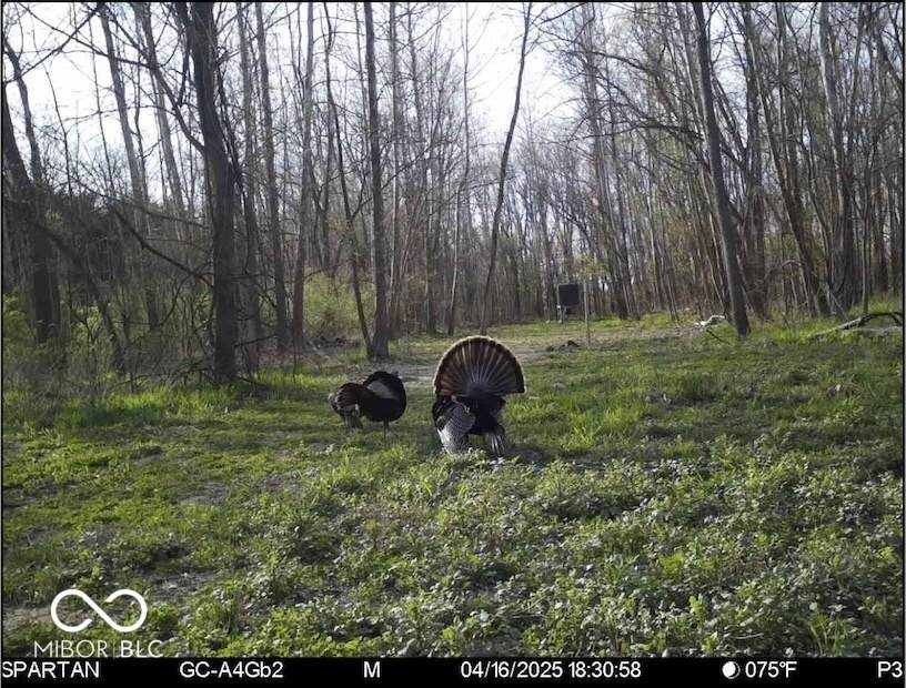 8052 Ash Road - Photo 1