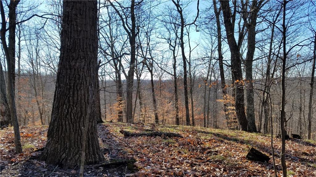 00 Annie Smith Road - Photo 1