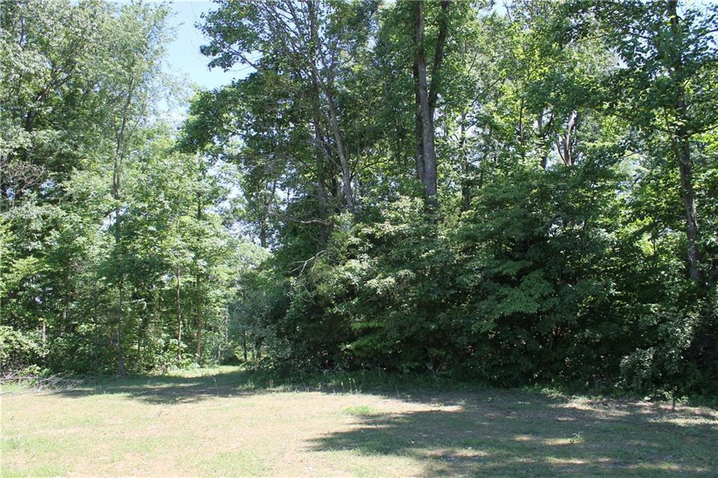 00 Poplar Grove Road - Photo 1