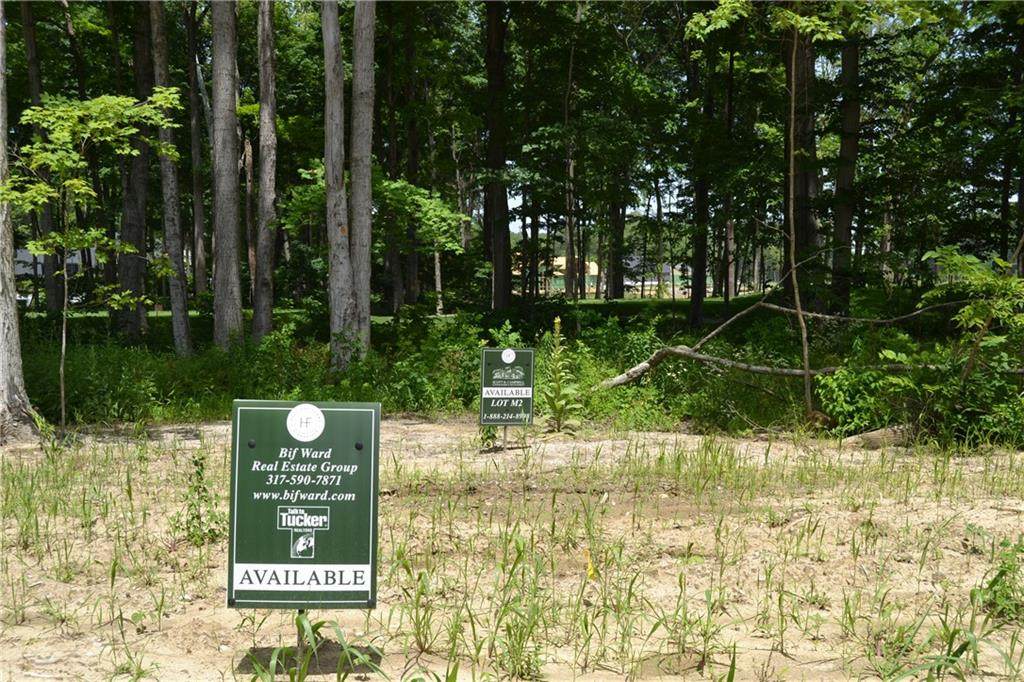 11140 Hamilton Run - Photo 1