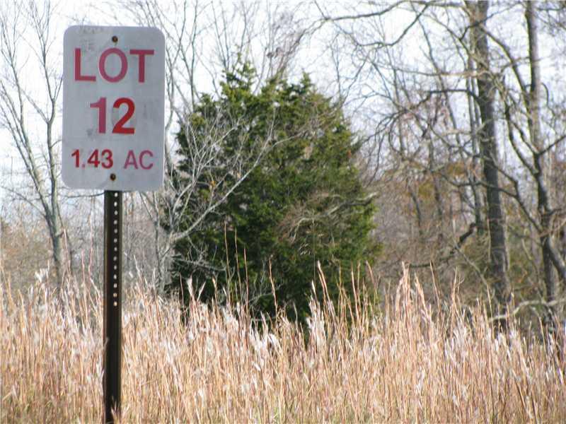 12 Porter Ridge - Photo 1