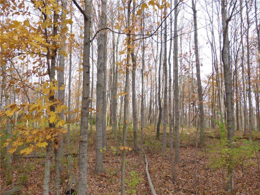 8595 Sargent Road - Photo 1