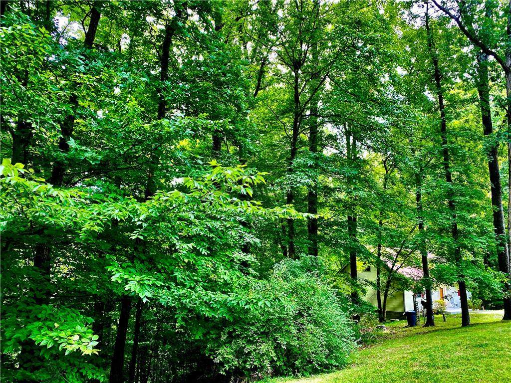2655 Lanam Ridge Rd North - Photo 1