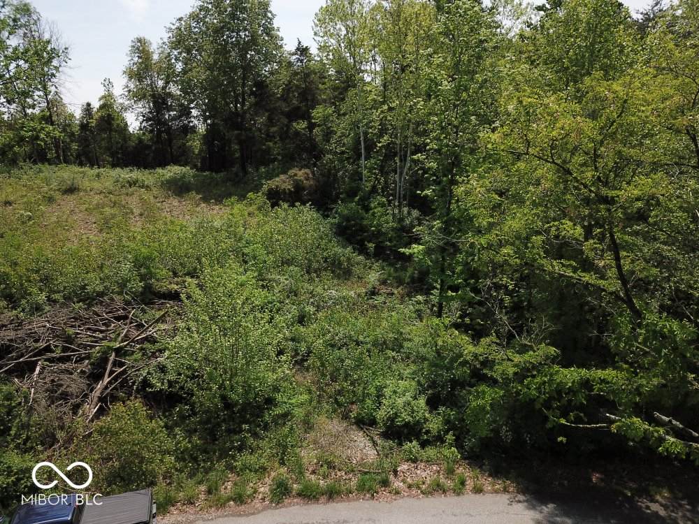 Lot 67 Apache Trail - Photo 1