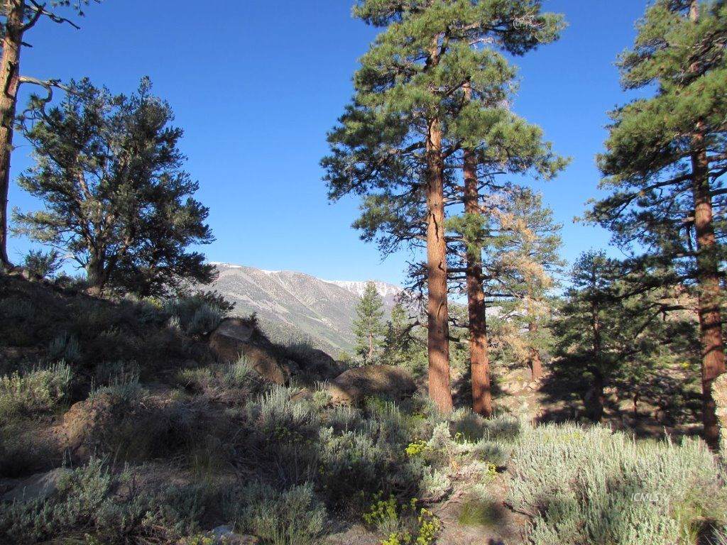 48 Montana Rd. - Photo 1
