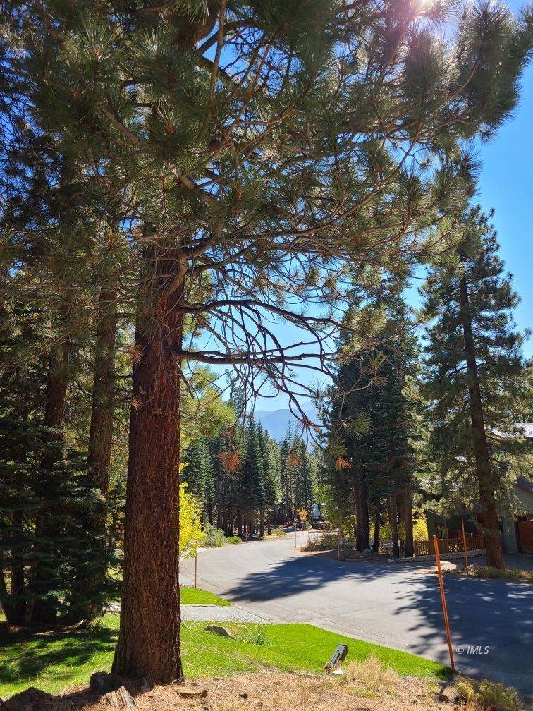 29 St. Anton Circle - Photo 1
