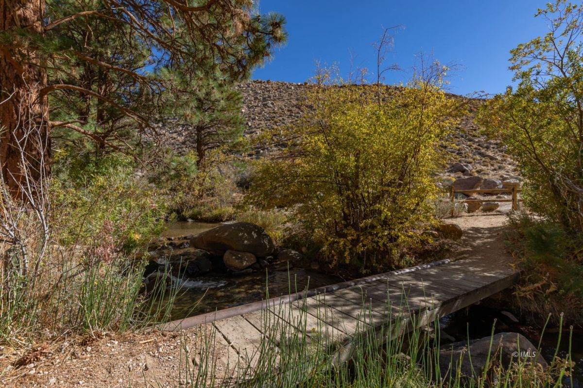 215 Upper Canyon Rd - Photo 1