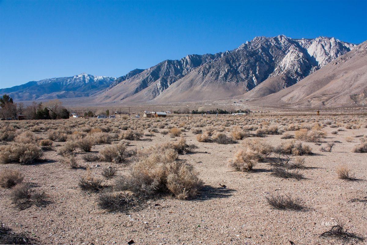 Inyo/Olancha/Cartago/N Mojave - Photo 1