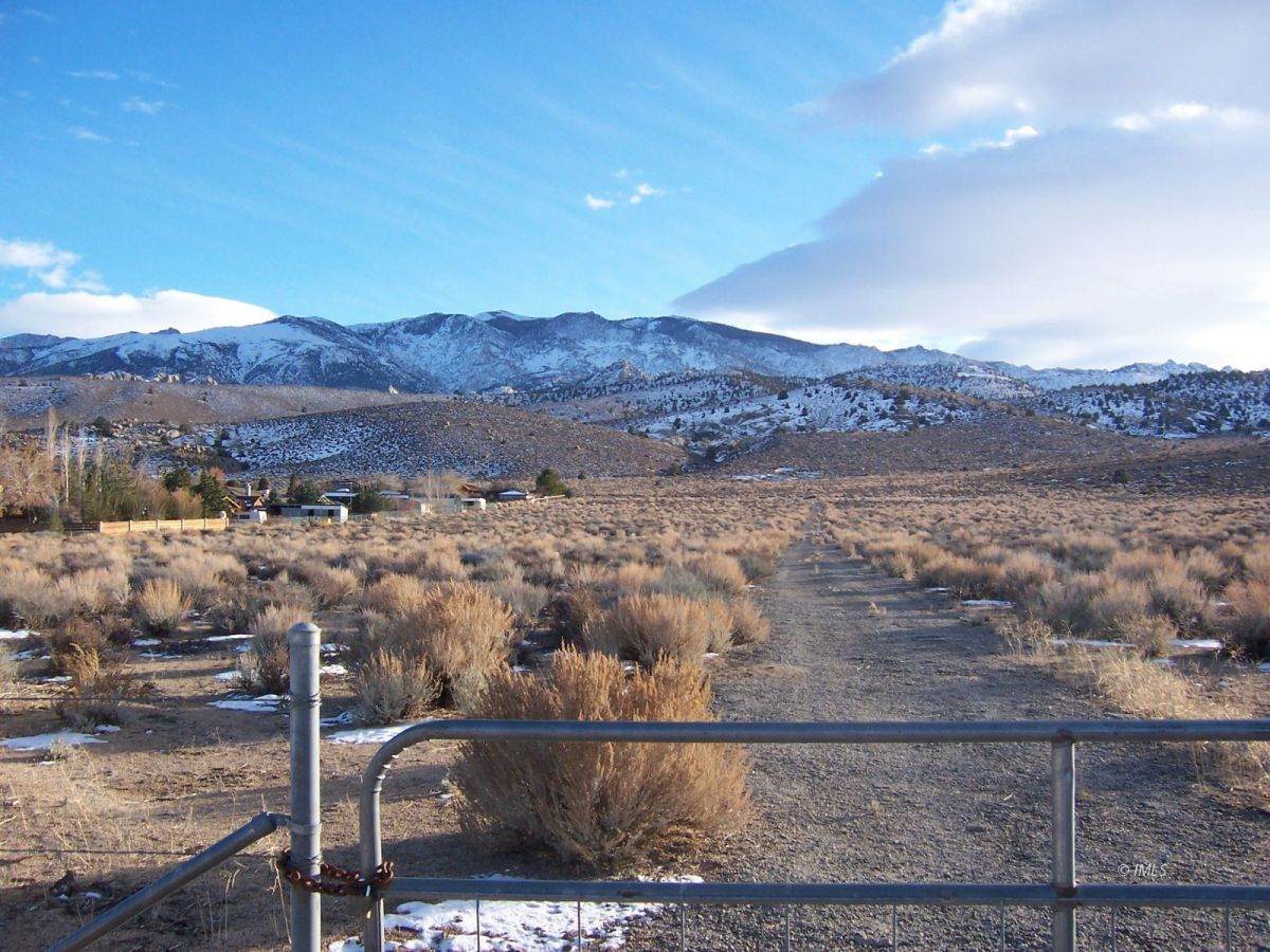 West Of Arcturis - Photo 1