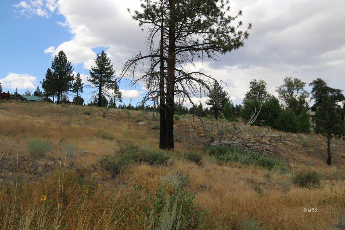 #8 Wilson Rd - Photo 1
