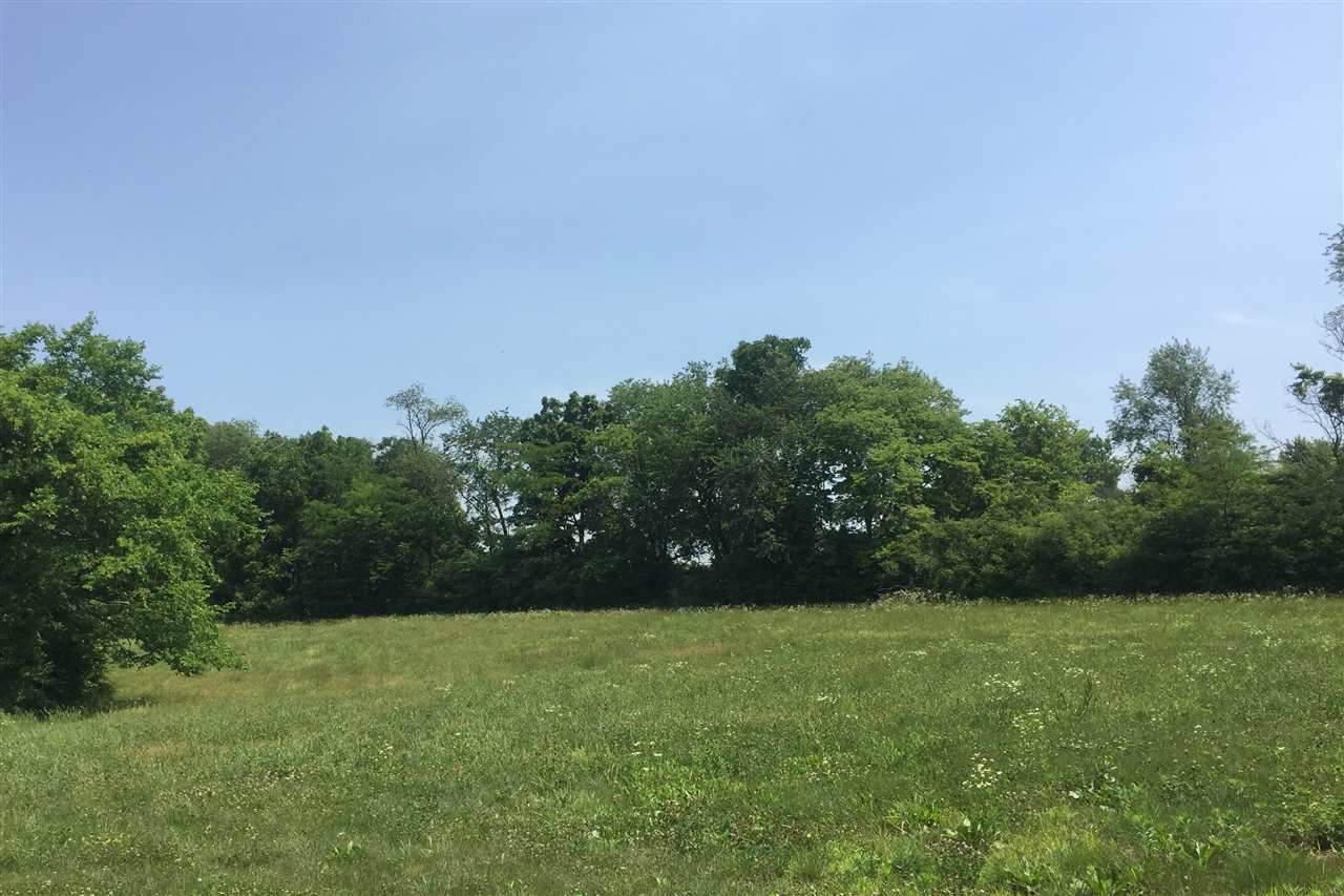 Lot 39 Stone Ridge Estates - Photo 1