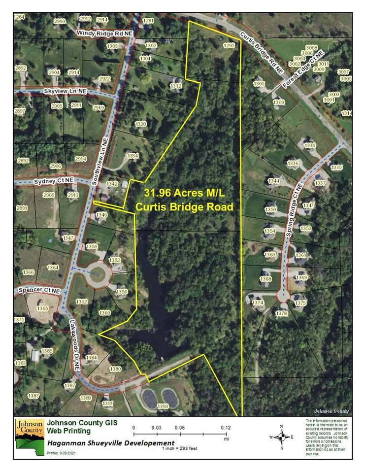 31.96 Acres M/L Curtis Bridge Road - Photo 1