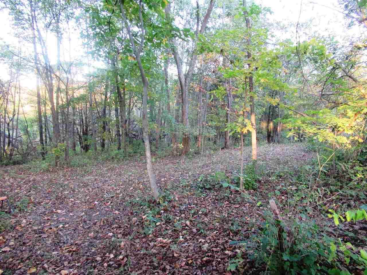 Lot 11 260th St - Photo 1