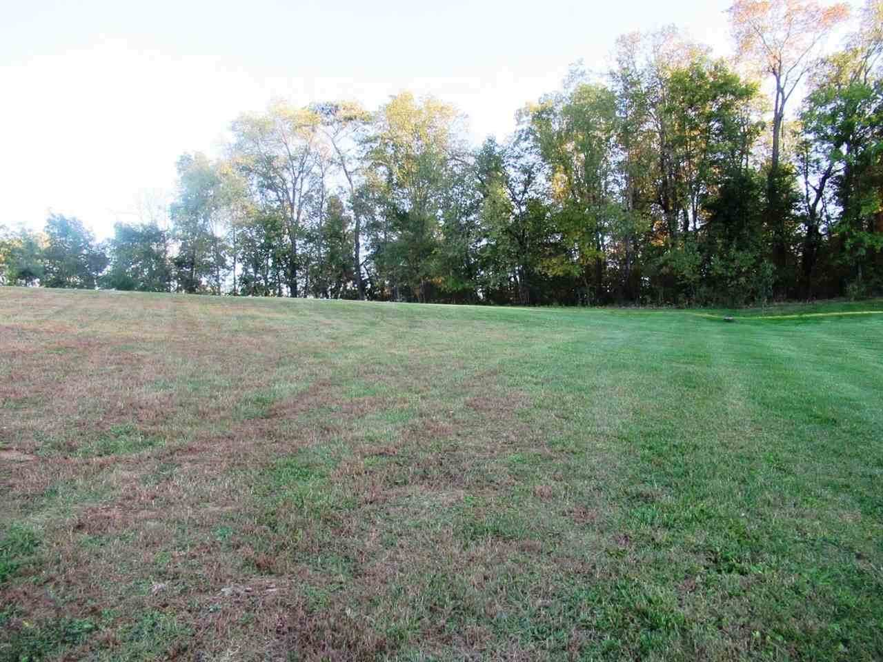 Lot 7 260th St - Photo 1