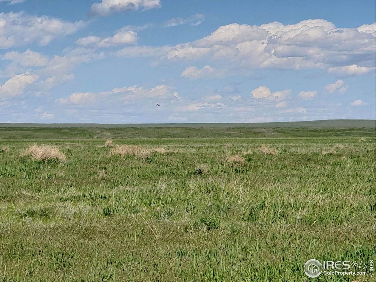 Parcel 8 County Road 102 - Photo 1