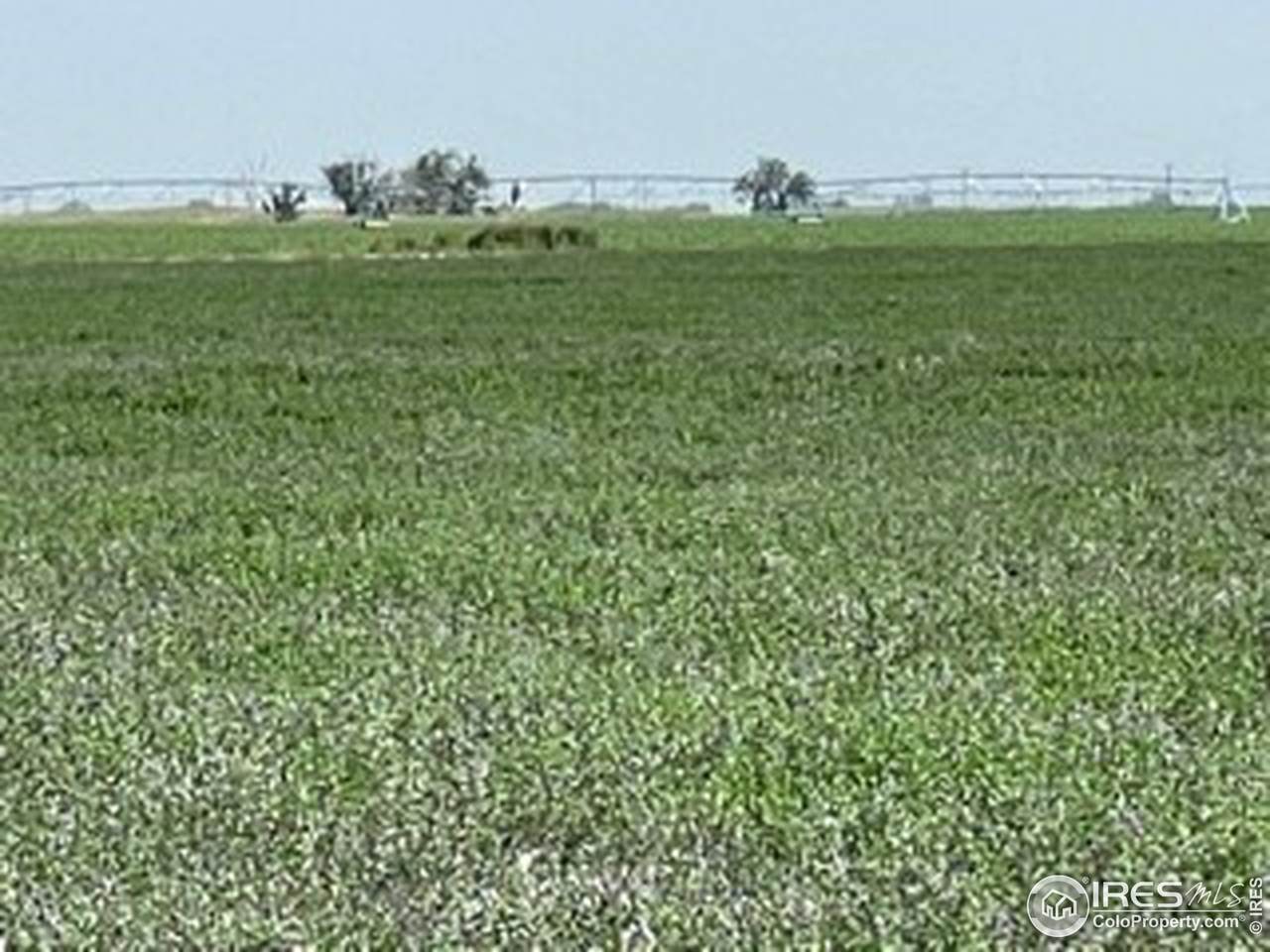 0 County Road 65 - Photo 1