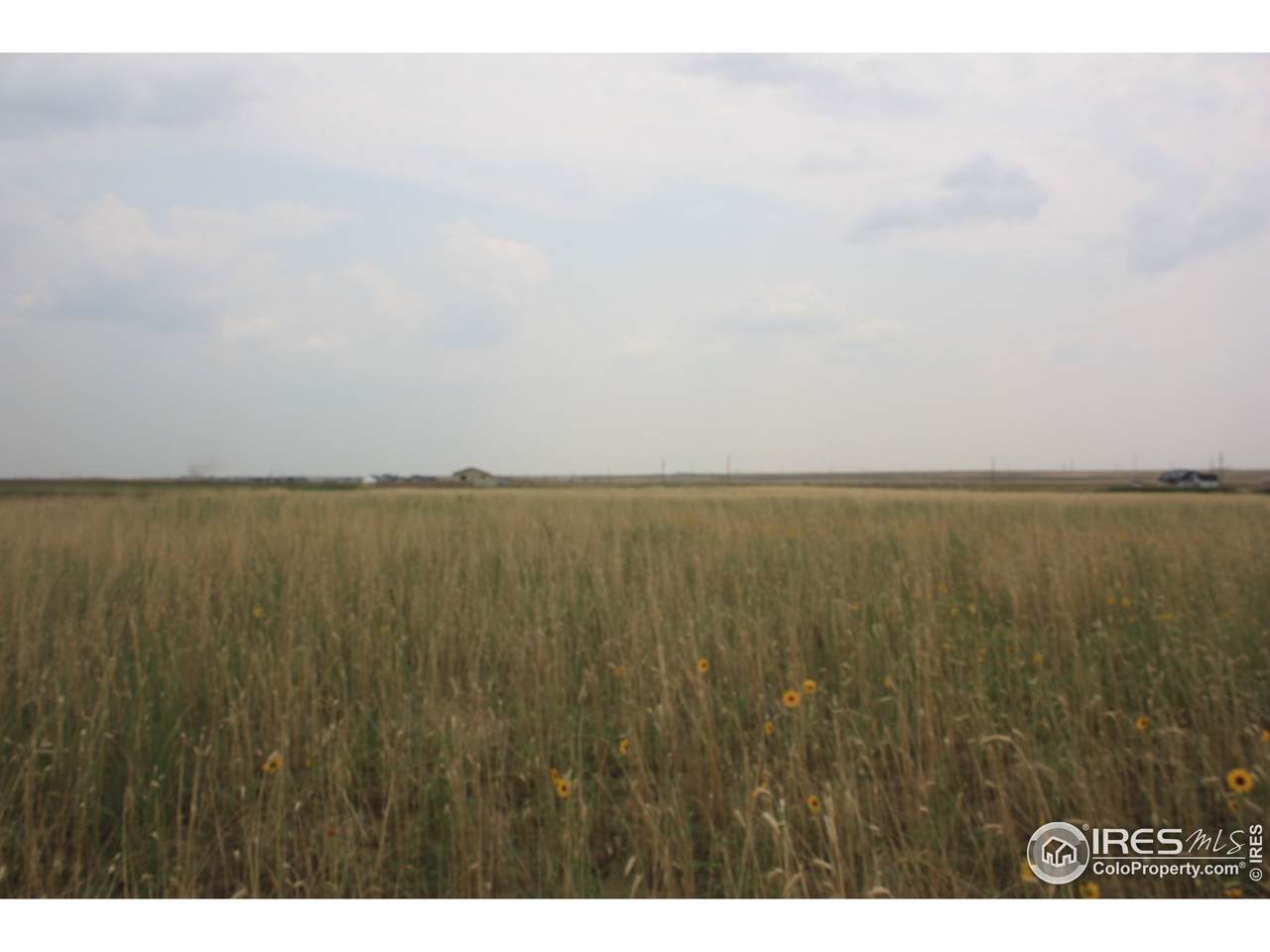 47310 County Road 29 - Photo 1