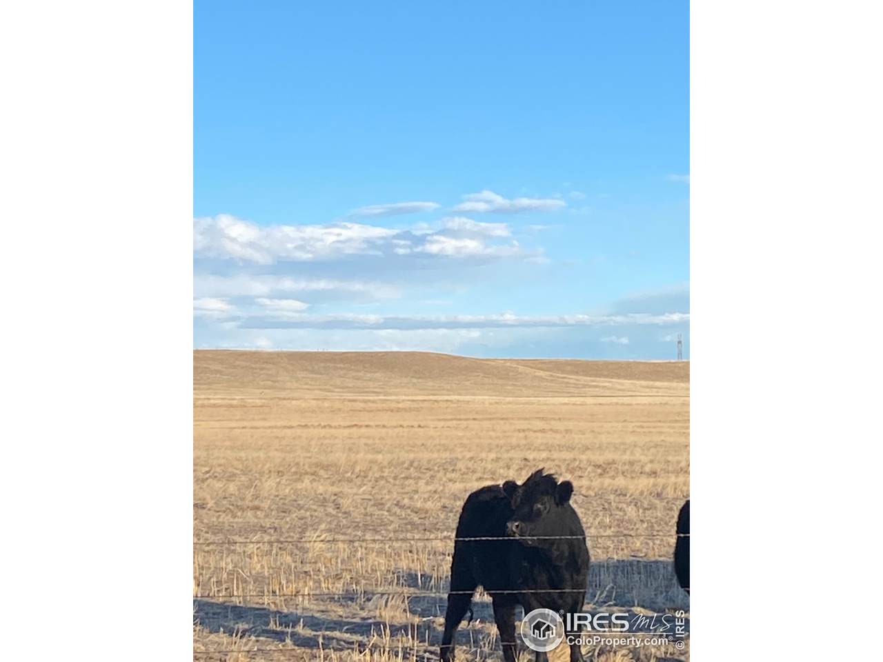 Cr 17 & Cr 122 (Lot B) - Photo 1