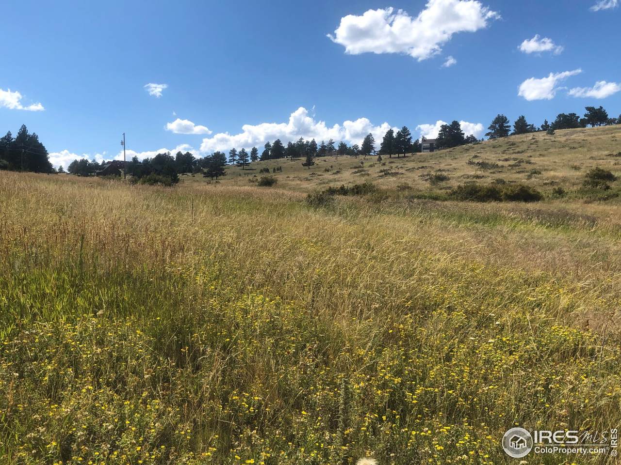 78 Mount Champion Dr - Photo 1