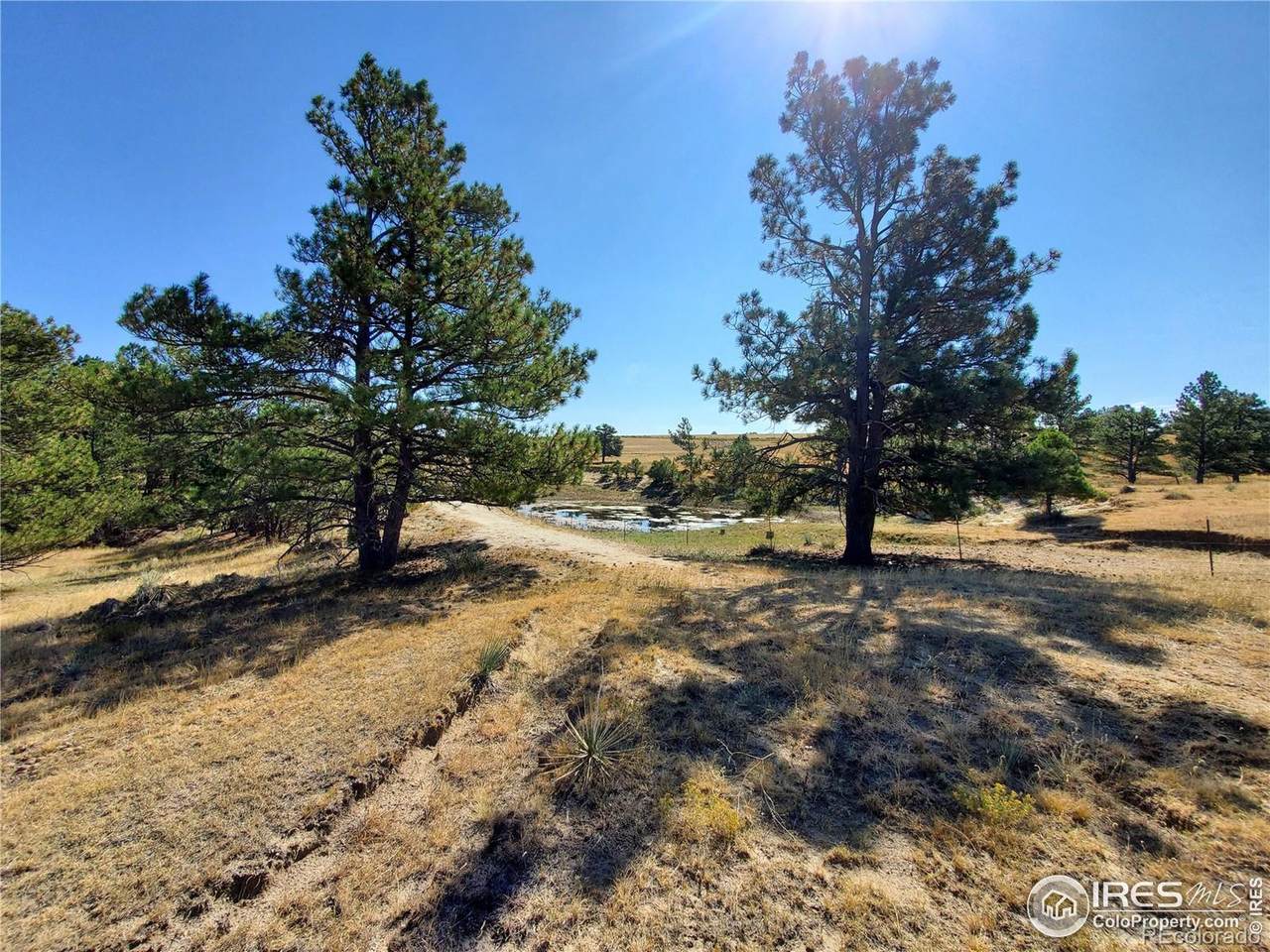 0 Lot B County Road 166 - Photo 1
