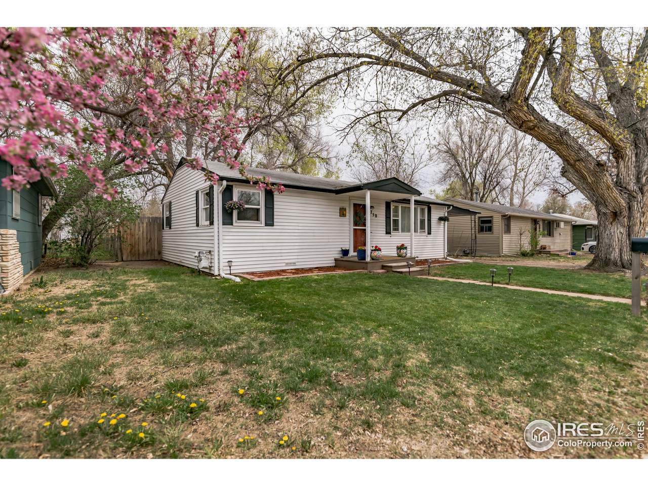 750 Rees Ct - Photo 1