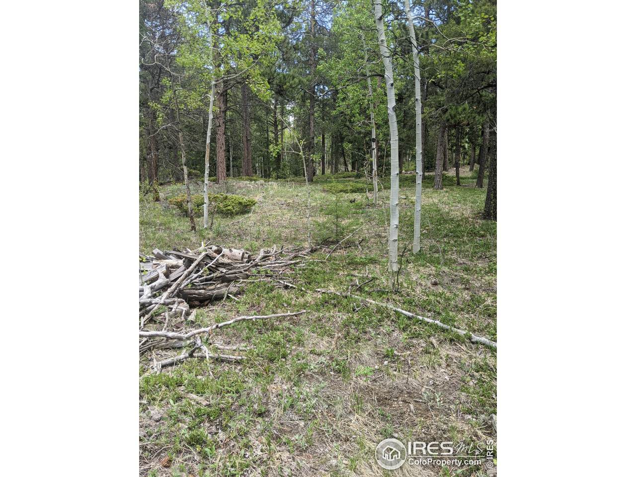0 Ridge Rd - Photo 1