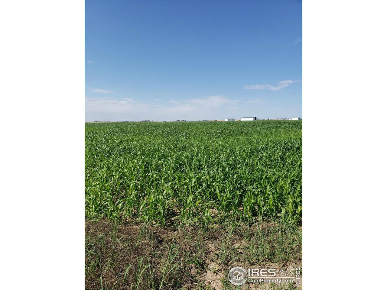 0 County Road 6 - Photo 1