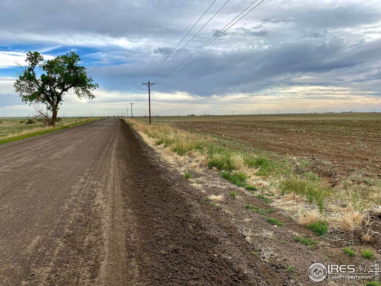 Wolf Creek Rd - Photo 1