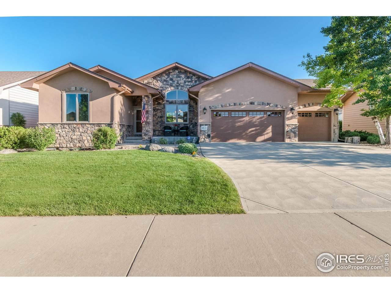 4630 Tarragon Dr - Photo 1